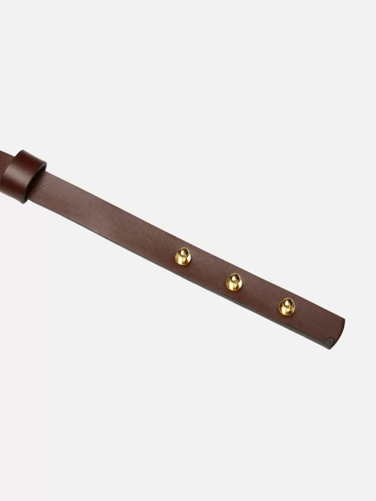 Viktoria & Woods Belts | Ralph Belt - Chocolate